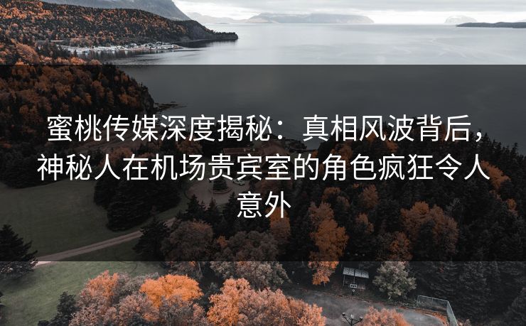 蜜桃传媒深度揭秘：真相风波背后，神秘人在机场贵宾室的角色疯狂令人意外
