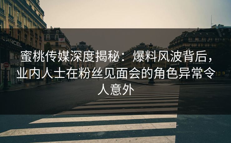 蜜桃传媒深度揭秘：爆料风波背后，业内人士在粉丝见面会的角色异常令人意外