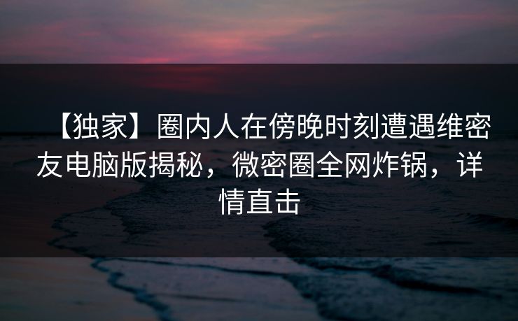 【独家】圈内人在傍晚时刻遭遇维密友电脑版揭秘，微密圈全网炸锅，详情直击