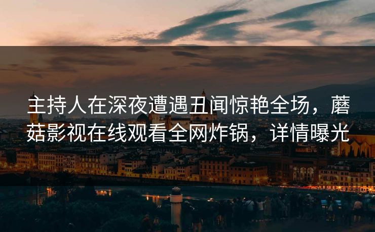 主持人在深夜遭遇丑闻惊艳全场，蘑菇影视在线观看全网炸锅，详情曝光